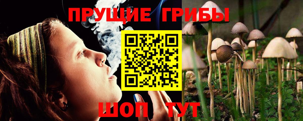 Псилоцибиновые грибы Magic Shrooms  Вход с VPN  Сатка 