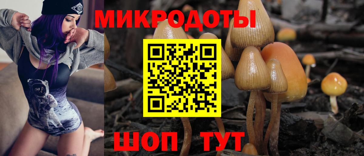 Псилоцибиновые грибы ЛСД Сатка